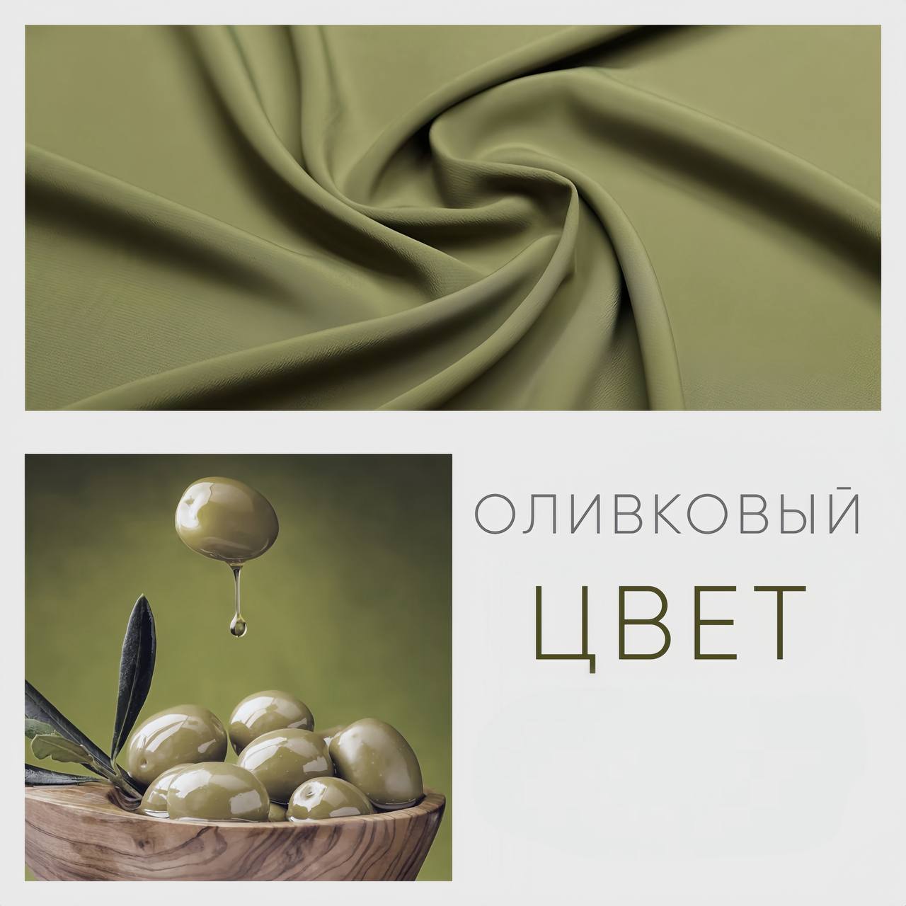 Оливковый цвет